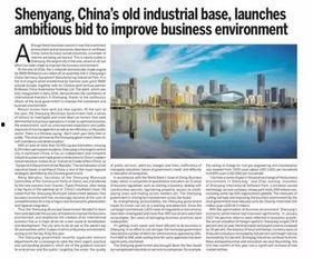 沈阳爆料最新新闻视频,视频揭露惊人真相，事件详情曝光  第3张