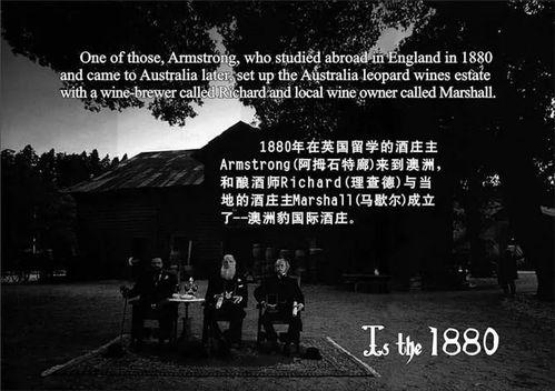 追风喝酒爆料视频,揭秘网红视频背后的故事  第2张