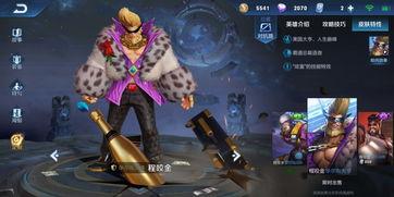 韩信新皮肤爆料时间最新,揭秘爆料背后的神秘故事  第2张