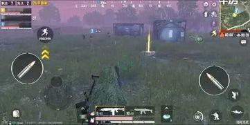 和平精英最新爆料为什么,揭秘游戏更新背后的秘密与期待  第1张